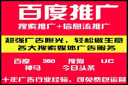 大型企业SEM外包实战案例